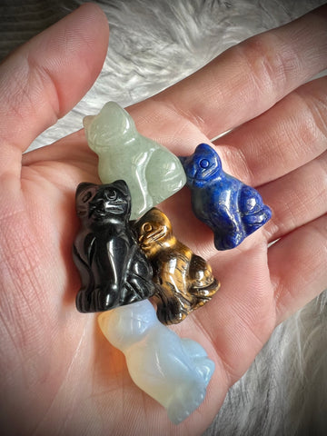 Kitty Crystal (Intuitively Picked)