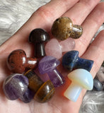 Mushy Crystal (Intuitively Picked)