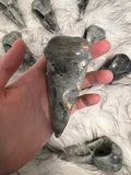 Labradorite Raven Skull